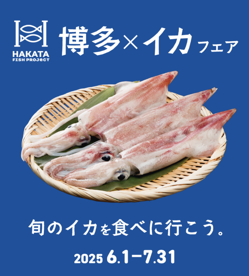 博多×イカフェア開催中！に関する画像