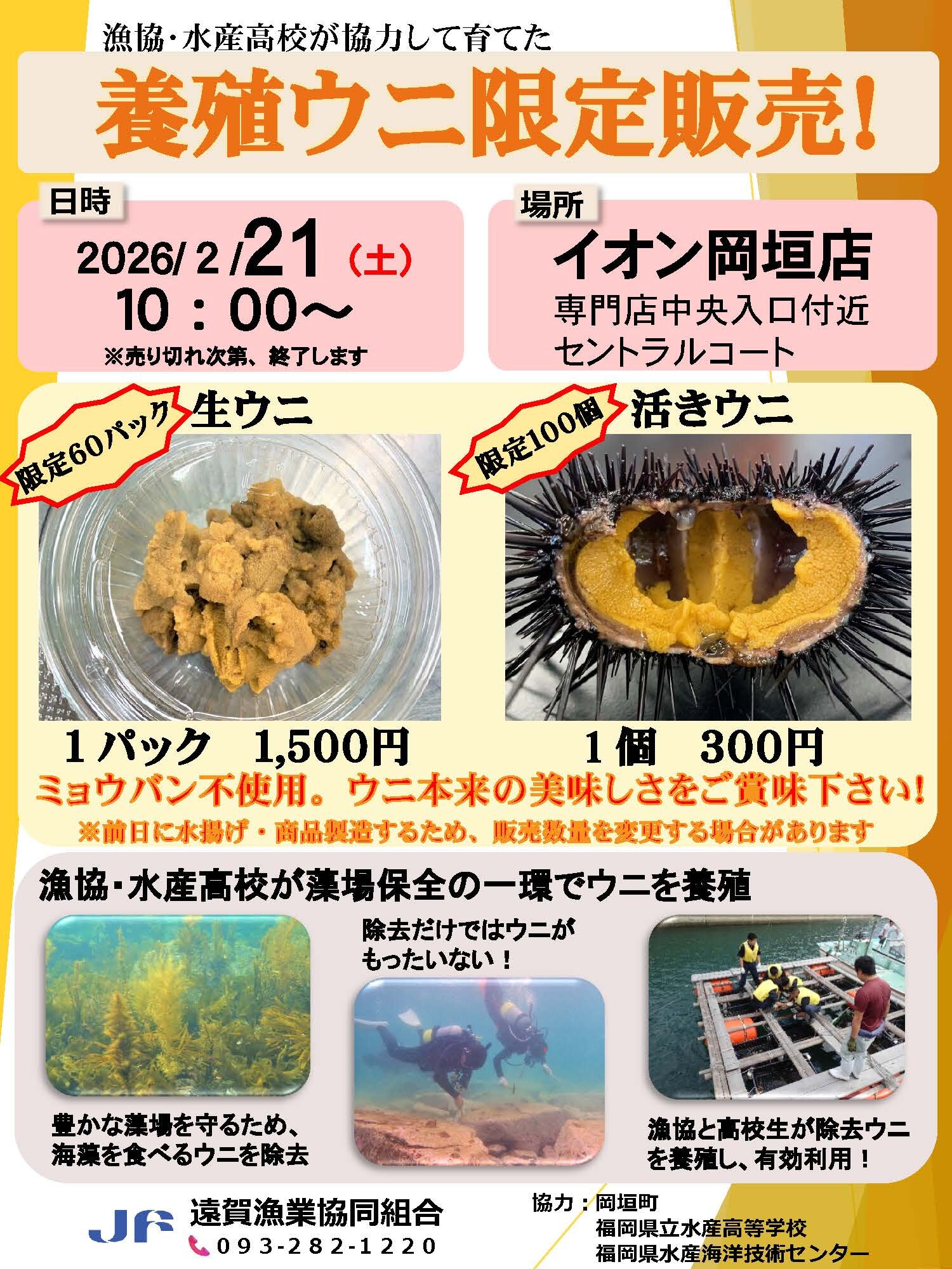 イオン岡垣店で波津の養殖ウニを販売！に関する画像