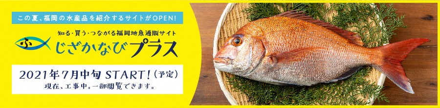 福岡県魚食促進サイト じざかなび福岡 公式サイト