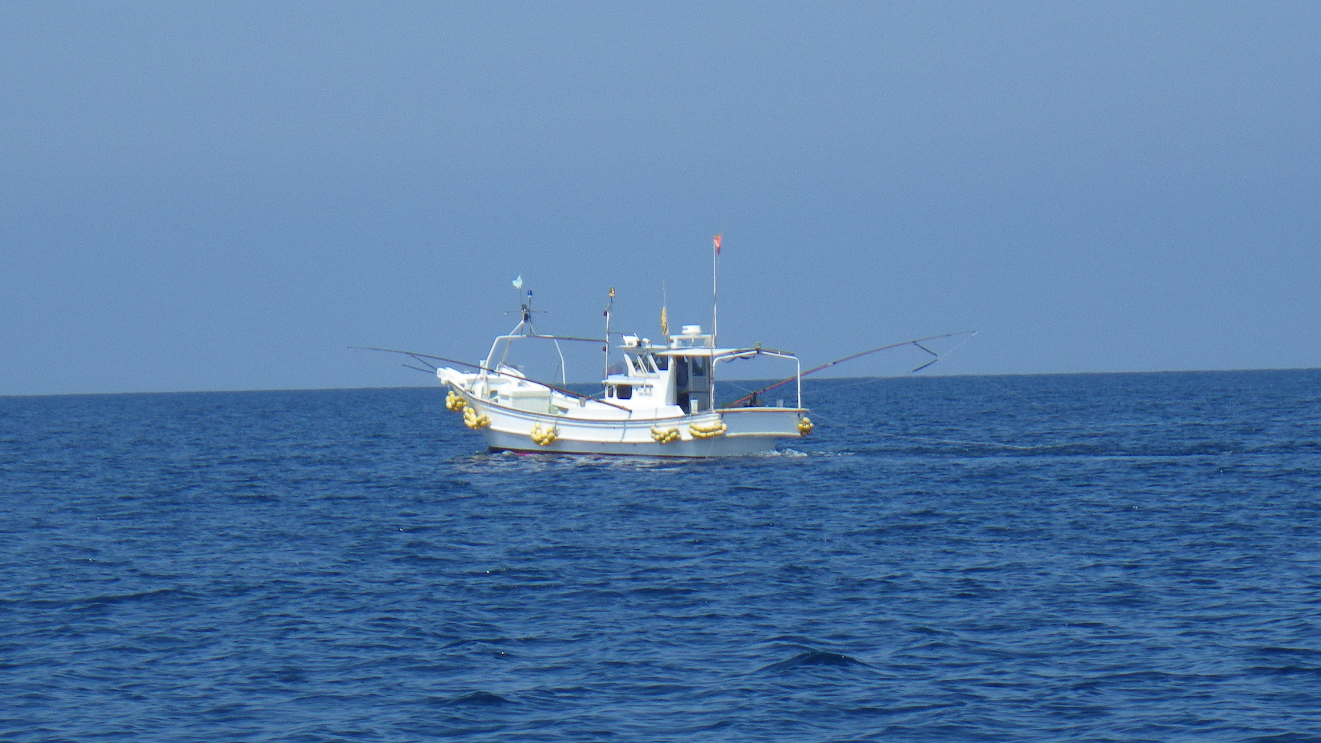 操業中のさわらひき縄漁船の画像