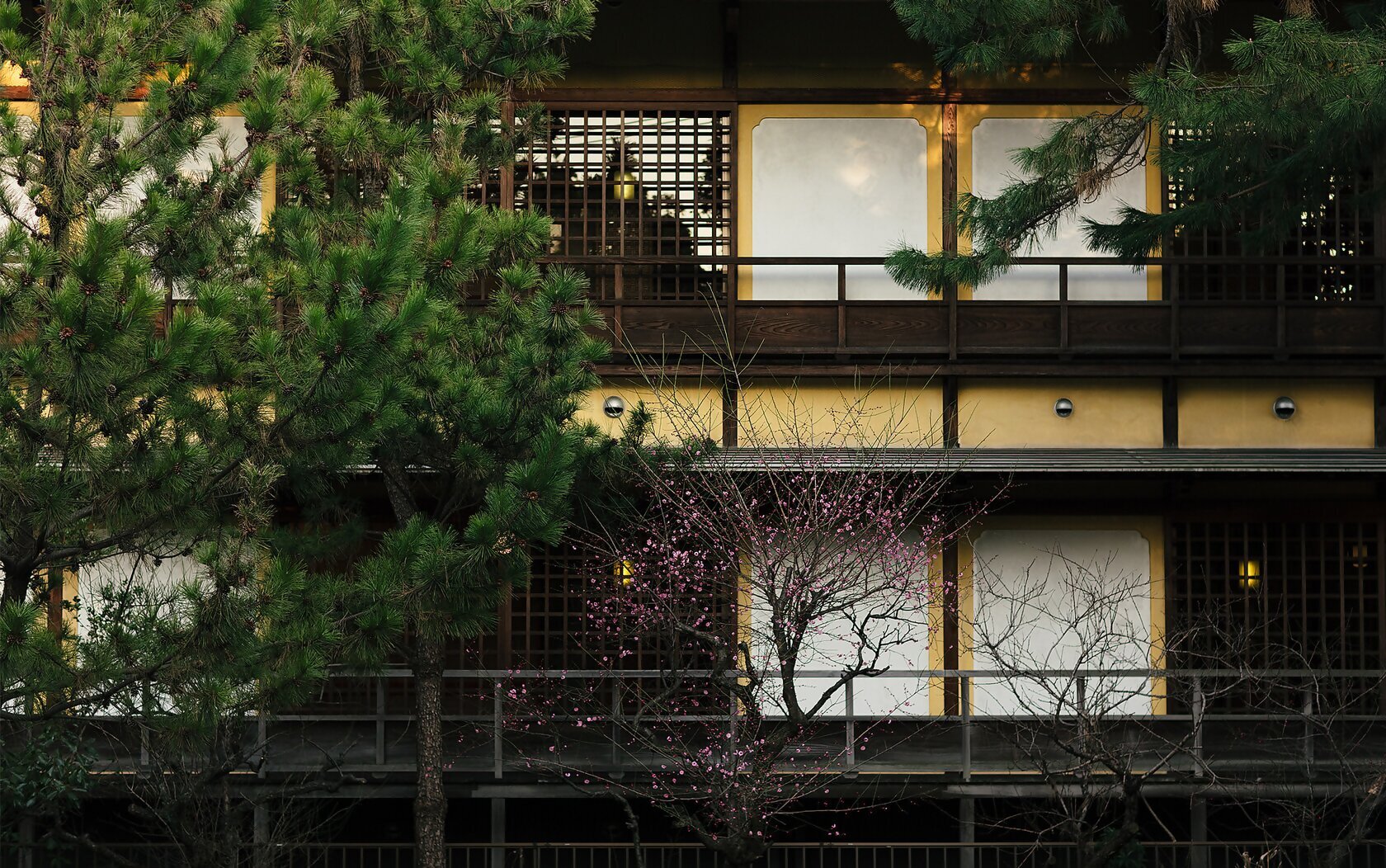 の画像