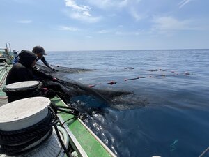 IMG_4610.JPG