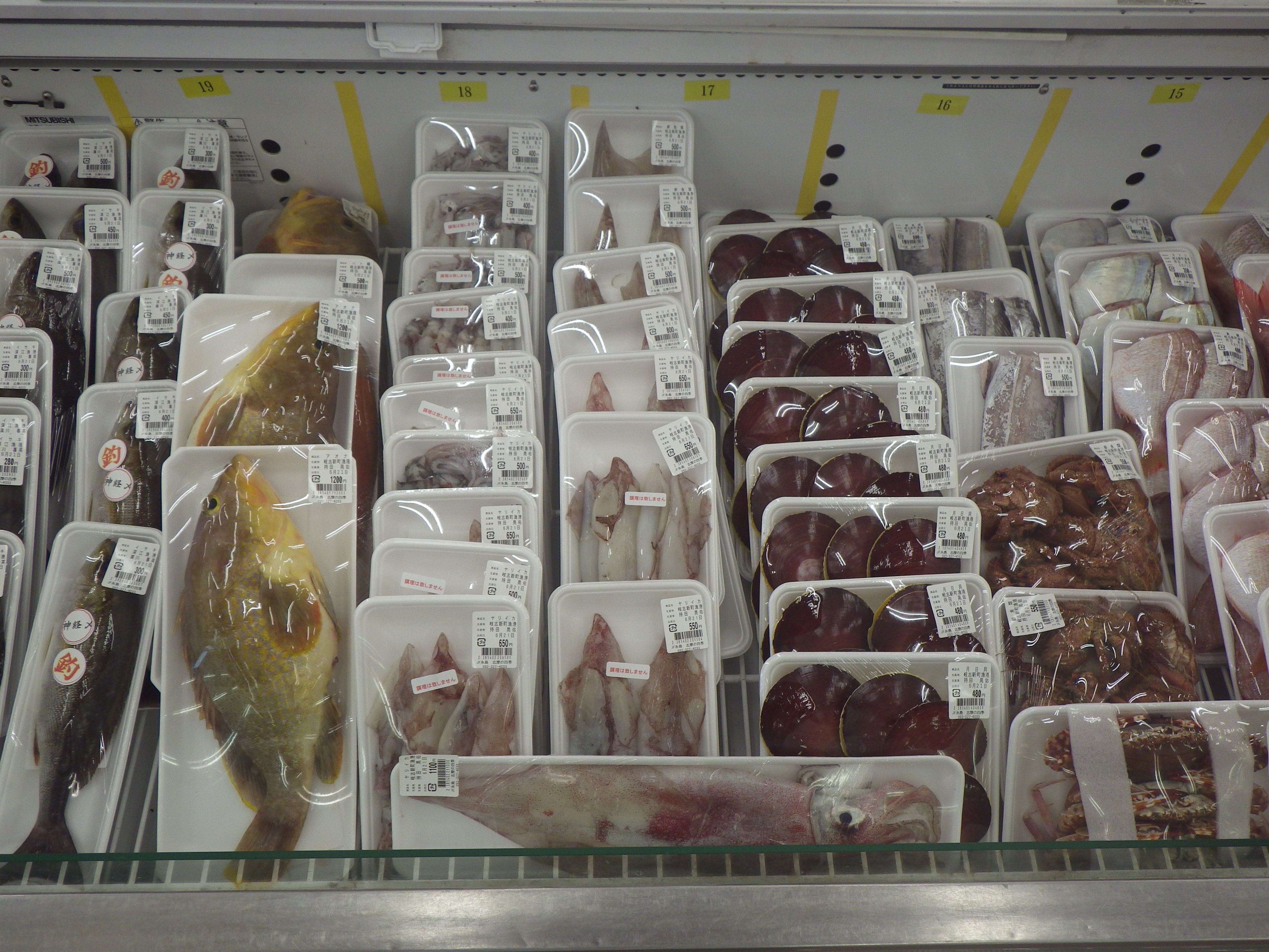 　　　　　色々な魚介類